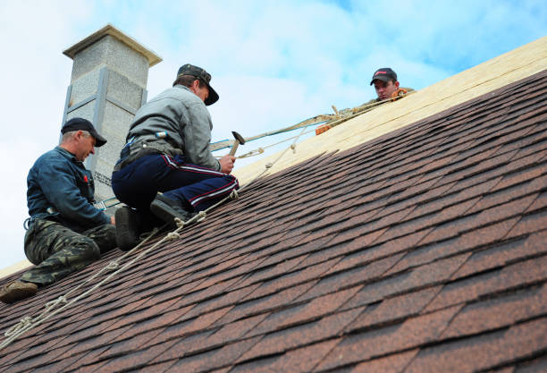 Best Metal Roofing Contractor  in Lawrence, IN